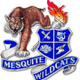 Mesquite hs az shield