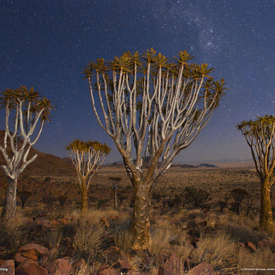 Timeline: HISTORIA DE LA BIOLOGÍA