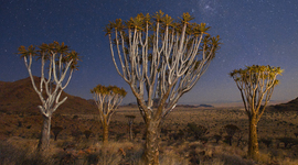Timeline: HISTORIA DE LA BIOLOGÍA