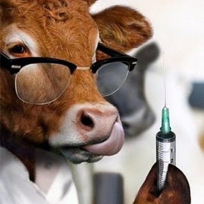 Timeline: Historia de la Medicina Veterinaria