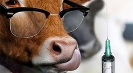 Timeline: Historia de la Medicina Veterinaria