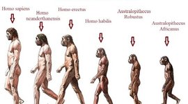 Timeline: La evolución de la humanidad hasta ahora
