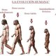 La evolucion humana