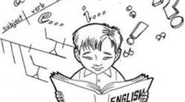 Timeline: Responsabilidades del Asesor