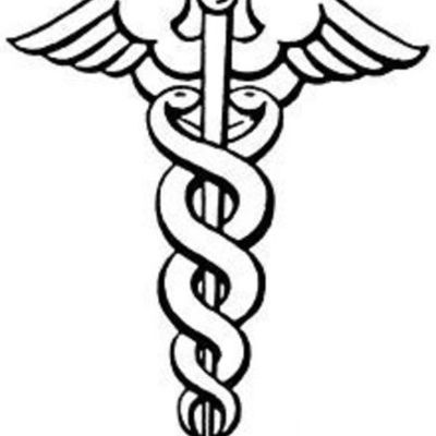 Timeline: historia de la veterinaria