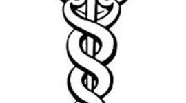 Timeline: historia de la veterinaria