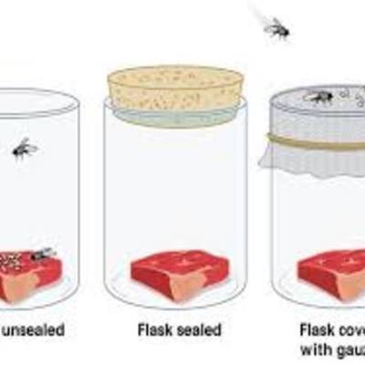 Timeline: Spontaneous Generation
