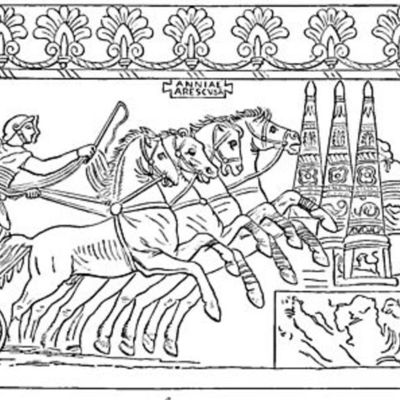 Timeline: MEDICINA VETERINARIA