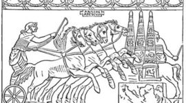 Timeline: MEDICINA VETERINARIA