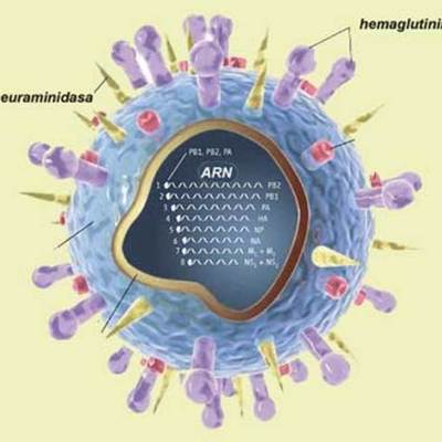 Timeline: Historia de la microbiología