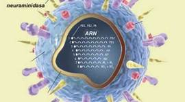 Timeline: Historia de la microbiología