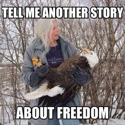 Timeline: The American Revolution