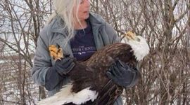 Timeline: The American Revolution