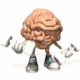 Cerebro 27