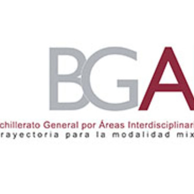 Timeline: Organizador grafico_Asesor BGAI