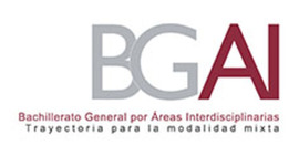 Timeline: Organizador grafico_Asesor BGAI