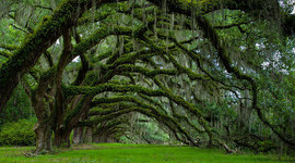 Timeline: Canterbury history