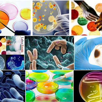 Timeline: EVENTOS IMPORTANTES PARA EL DESARROLLO  DE LA MICROBIOLOGÍA