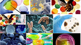 Timeline: EVENTOS IMPORTANTES PARA EL DESARROLLO  DE LA MICROBIOLOGÍA