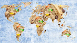 Timeline: Véronique_IB Past and Future_timeline