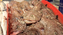 Timeline: Velfærdsstatens historie