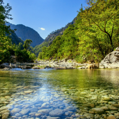 Timeline: Timeline of Canada Morgan Mitchell