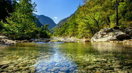 Timeline: Timeline of Canada Morgan Mitchell