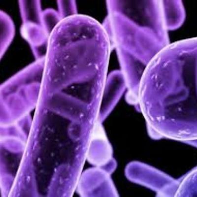 Timeline: EVENTOS IMPORTANTES EN LA MICROBIOLOGIA