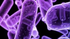 Timeline: EVENTOS IMPORTANTES EN LA MICROBIOLOGIA