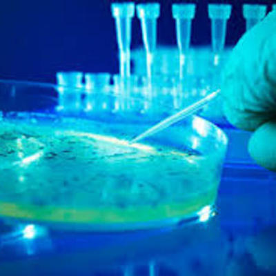 Timeline: Historia de la Microbiologia