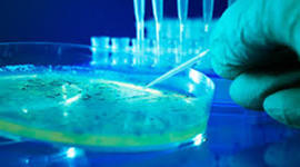 Timeline: Historia de la Microbiologia