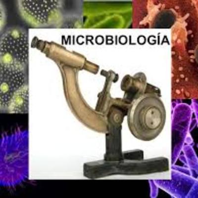 Timeline: La Microbiologia