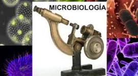 Timeline: La Microbiologia