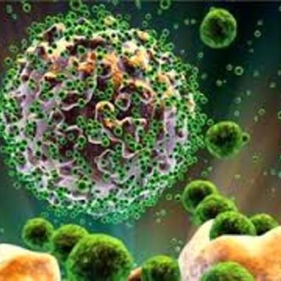Timeline: Microbiologia Ambiental