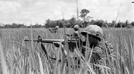Timeline: The Vietnam War