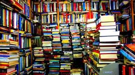 Timeline: My and learning