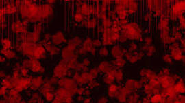 Timeline: Evaluation Question 7