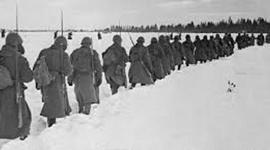 Timeline: Operation Barbarossa Timeline