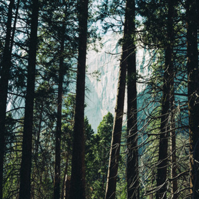 Timeline: My Educational Timeline