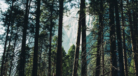 Timeline: My Educational Timeline