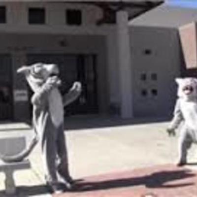 Timeline: My Timeline