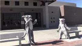 Timeline: My Timeline