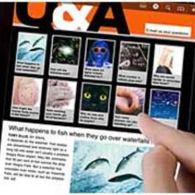 Timeline: HISTORIA DEL COMERCIO ELECTRONICO