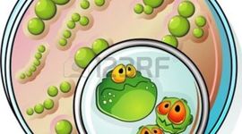 Timeline: HISTORIA DE LA MICROBIOLOGIA!!