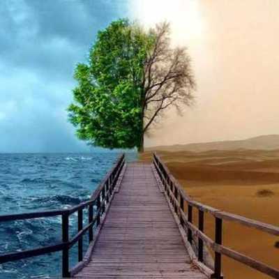 Timeline: My timeline