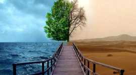 Timeline: My timeline