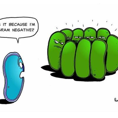 Timeline: Microbiologia