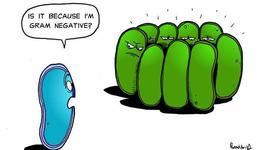 Timeline: Microbiologia