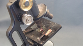 Timeline: Important Events in Understanding the Cell Theory