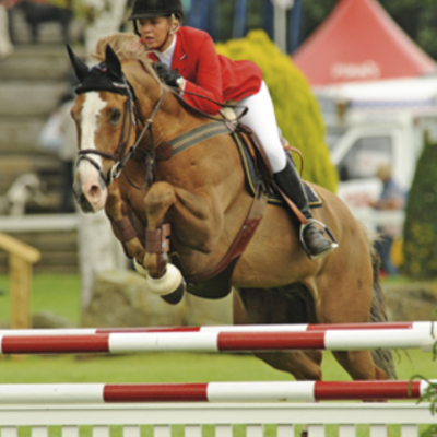 Timeline: showjumping
